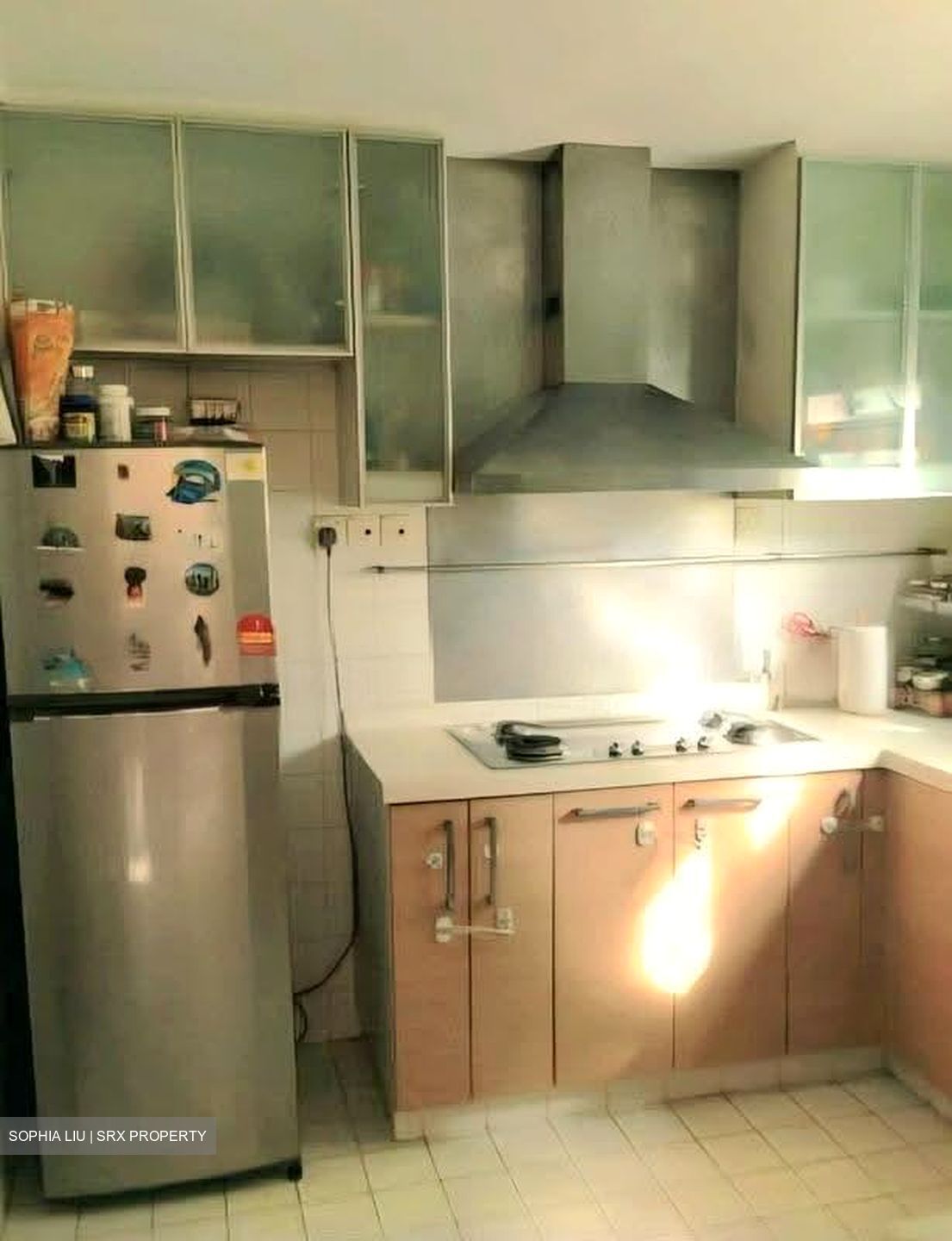 Dahlia Park Condominium (D17), Condominium #606439481